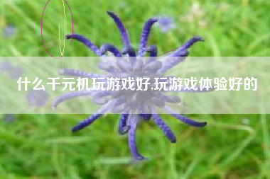 什么千元机玩游戏好,玩游戏体验好的