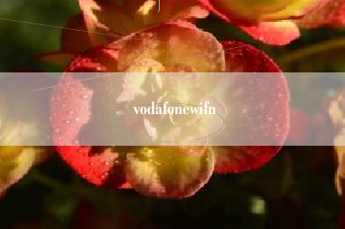 vodafonewifn