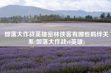 部落大作战英雄密林侠客有哪些羁绊关系(部落大作战t0英雄)