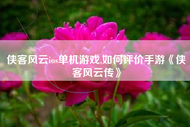 侠客风云ios单机游戏,如何评价手游《侠客风云传》