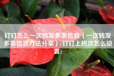 钉钉怎么一次转发多条信息（一次转发多条信息方法分享）(钉钉上班次怎么设置)