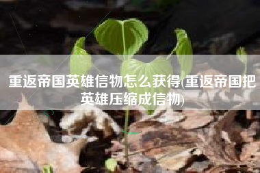 重返帝国英雄信物怎么获得(重返帝国把英雄压缩成信物)