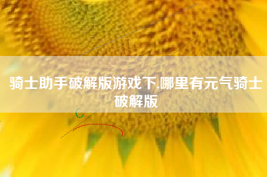 骑士助手破解版游戏下,哪里有元气骑士破解版