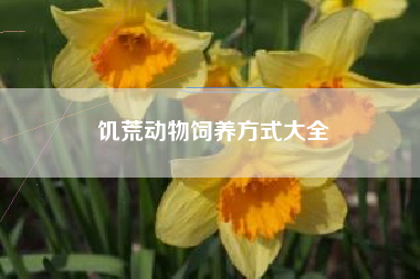 饥荒动物饲养方式大全