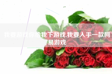 我要游戏你给我下游戏,我要入手一款网易游戏