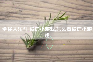 全民大乐斗 微信小游戏,怎么看微信小游戏