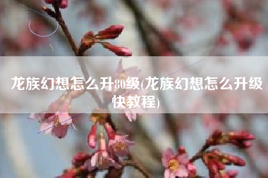 龙族幻想怎么升80级(龙族幻想怎么升级快教程)