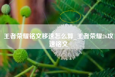 王者荣耀铭文移速怎么算_王者荣耀26攻速铭文