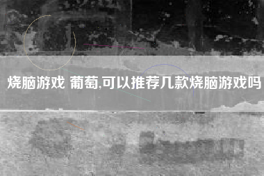 烧脑游戏 葡萄,可以推荐几款烧脑游戏吗
