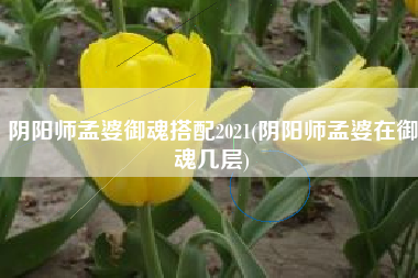 阴阳师孟婆御魂搭配2021(阴阳师孟婆在御魂几层)