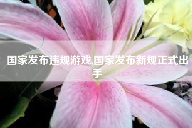 国家发布违规游戏,国家发布新规正式出手