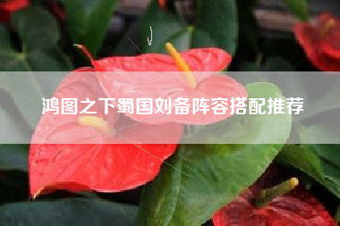 鸿图之下蜀国刘备阵容搭配推荐