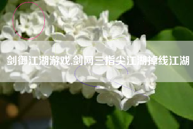 剑御江湖游戏,剑网三指尖江湖掉线江湖