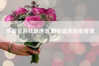 多设备游戏加速器,路由器多设备登录