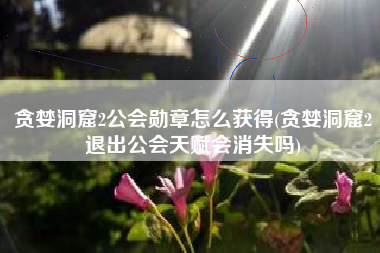 贪婪洞窟2公会勋章怎么获得(贪婪洞窟2退出公会天赋会消失吗)