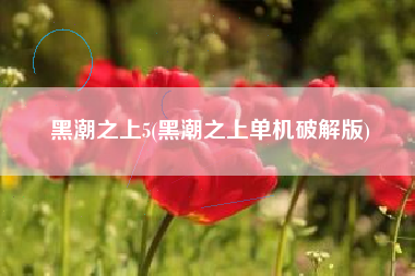 黑潮之上5(黑潮之上单机破解版)