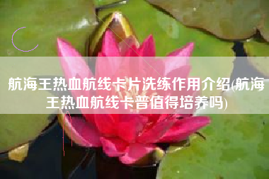 航海王热血航线卡片洗练作用介绍(航海王热血航线卡普值得培养吗)