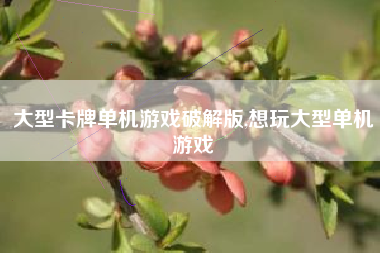 大型卡牌单机游戏破解版,想玩大型单机游戏