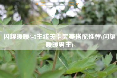 闪耀暖暖6-3主线关卡完美搭配推荐(闪耀暖暖男主)