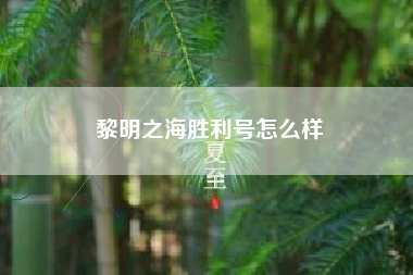 黎明之海胜利号怎么样
