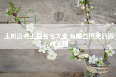 主机游戏主播名字大全,有哪些搞笑的游戏主播