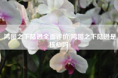 鸿图之下陆逊全面评价(鸿图之下陆逊是核心吗)