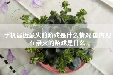 手机最近最火的游戏是什么情况,国内现在最火的游戏是什么