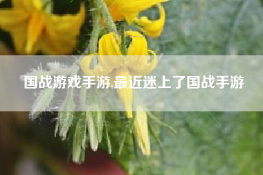 国战游戏手游,最近迷上了国战手游
