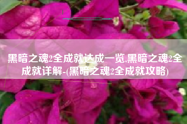 黑暗之魂2全成就达成一览,黑暗之魂2全成就详解-(黑暗之魂2全成就攻略)