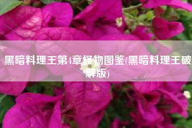 黑暗料理王第4章怪物图鉴(黑暗料理王破解版)
