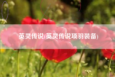 英灵传说(英灵传说项羽装备)
