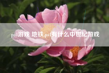 ps4游戏 地铁,ps4有什么中世纪游戏