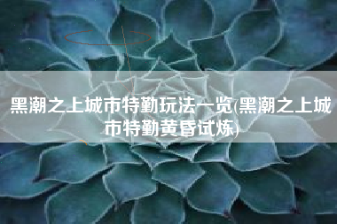 黑潮之上城市特勤玩法一览(黑潮之上城市特勤黄昏试炼)