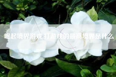 崛起境界游戏,打游戏的最高境界是什么