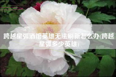 跨越星弧酒馆英雄无法刷新怎么办(跨越星弧多少英雄)