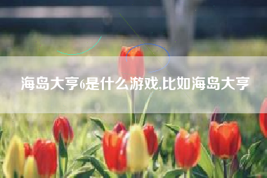 海岛大亨6是什么游戏,比如海岛大亨