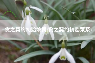 食之契约初始飨灵(食之契约初始菜系)
