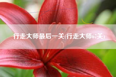 行走大师最后一关(行走大师67关)