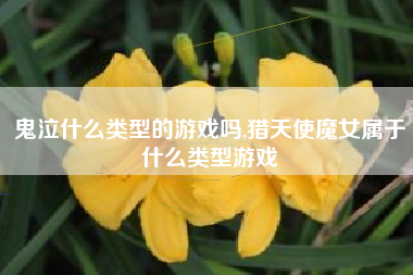 鬼泣什么类型的游戏吗,猎天使魔女属于什么类型游戏