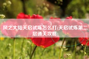 风之大陆天启试炼怎么打(天启试炼第二层通关攻略)