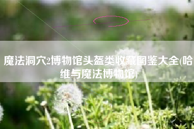 魔法洞穴2博物馆头盔类收藏图鉴大全(哈维与魔法博物馆)