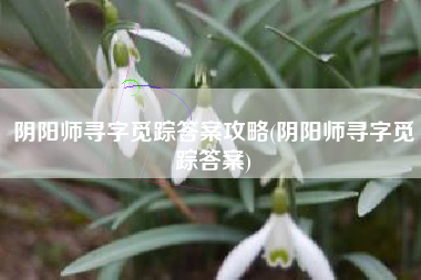 阴阳师寻字觅踪答案攻略(阴阳师寻字觅踪答案)