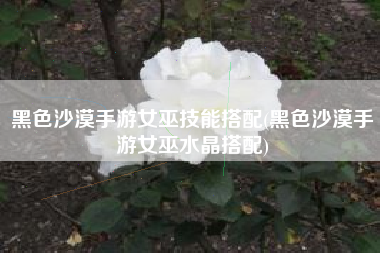 黑色沙漠手游女巫技能搭配(黑色沙漠手游女巫水晶搭配)