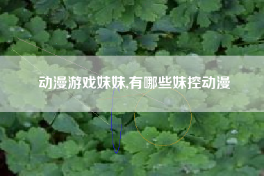 动漫游戏妹妹,有哪些妹控动漫