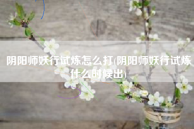 阴阳师妖行试炼怎么打(阴阳师妖行试炼什么时候出)