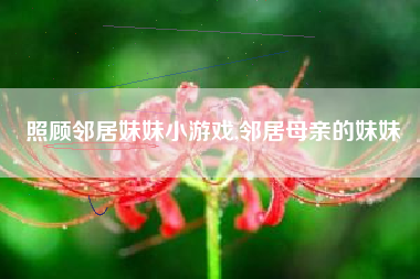 照顾邻居妹妹小游戏,邻居母亲的妹妹