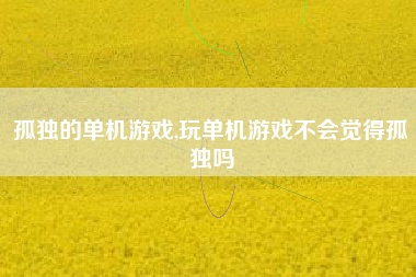 孤独的单机游戏,玩单机游戏不会觉得孤独吗