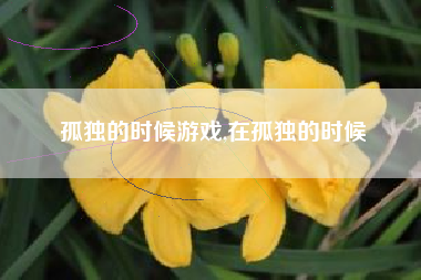 孤独的时候游戏,在孤独的时候