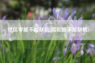 绝区零能不能联机(暗区能不能联机)