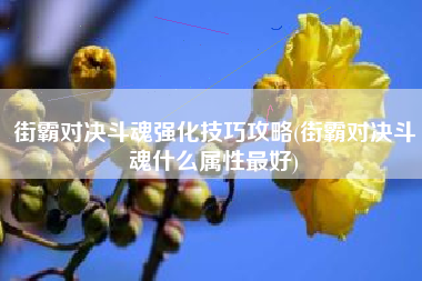 街霸对决斗魂强化技巧攻略(街霸对决斗魂什么属性最好)